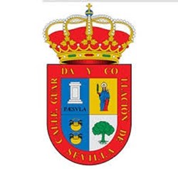 Nitlux es adjudicatario del concurso: "Mejora de la eficiencia energética en el instalación parcial de alumbrado público exterior del Ayuntamiento de Salteras"- Nitlux es adjudicatario del concurso: "Mejora de la eficiencia energética en el instalación parcial de alumbrado público exterior del Ayuntamiento de Salteras"