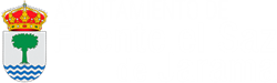 Nitlux es adjudicatario del concurso: "Mantenimiento de las instalaciones de Alumbrado Público e instalaciones eléctricas de las dependencias Municipales del Ayuntamiento de Fuente el Saz de Jarama"- Nitlux es adjudicatario del concurso: "Mantenimiento de las instalaciones de Alumbrado Público e instalaciones eléctricas de las dependencias Municipales del Ayuntamiento de Fuente el Saz de Jarama"