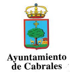 Nitlux es adjudicataria del concurso: Servicio de mantenimiento del alumbrado publico del Ayuntamiento de Cabrales y de los edificios e instalaciones municipales- Nitlux es adjudicataria del concurso: Servicio de mantenimiento del alumbrado publico del Ayuntamiento de Cabrales y de los edificios e instalaciones municipales