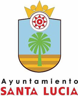 Nitlux es adjudicataria de la licitación: "Mejora de A.P. Zona Comercial Abierta Avda. de Canarias. Tramo Salvador Allende-Guayadeque. Ayuntamiento de Santa Lucía de Tirajana" - Nitlux es adjudicataria de la licitación: "Mejora de A.P. Zona Comercial Abierta Avda. de Canarias. Tramo Salvador Allende-Guayadeque. Ayuntamiento de Santa Lucía de Tirajana"