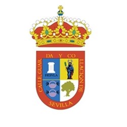 Nitlux es adjudicataria del concurso: Mejora de la eficiencia energética en el instalación parcial de alumbrado público exterior. "Ayuntamiento de Salteras".- Nitlux es adjudicataria del concurso: Mejora de la eficiencia energética en el instalación parcial de alumbrado público exterior. "Ayuntamiento de Salteras".