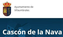 Nitlux es adjudicataria del concurso: Renovación alumbrado público calles 2 y 3 del Polígono Industrial/Ganadero de Cascón de la Nava (Palencia).- Nitlux es adjudicataria del concurso: Renovación alumbrado público calles 2 y 3 del Polígono Industrial/Ganadero de Cascón de la Nava (Palencia).